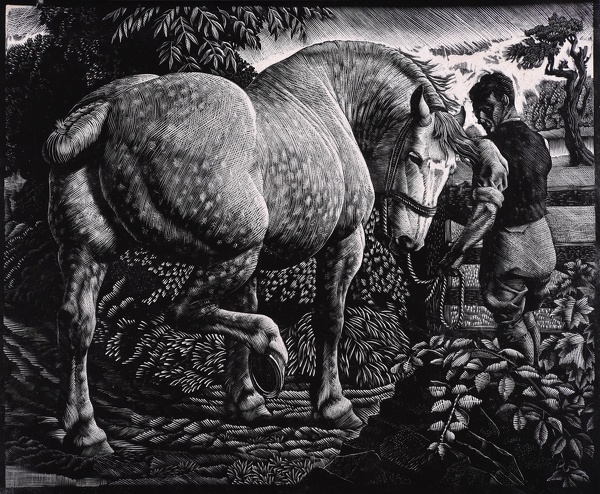 Artist Charles Frederick Tunnicliffe R.A.: The Percheron, 1940