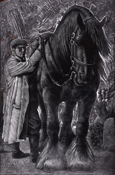 Artist Charles Frederick Tunnicliffe R.A.: Stallion and Groom, circa 1935