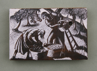 Artist Clare Leighton: Apple Harvest, BPL 568